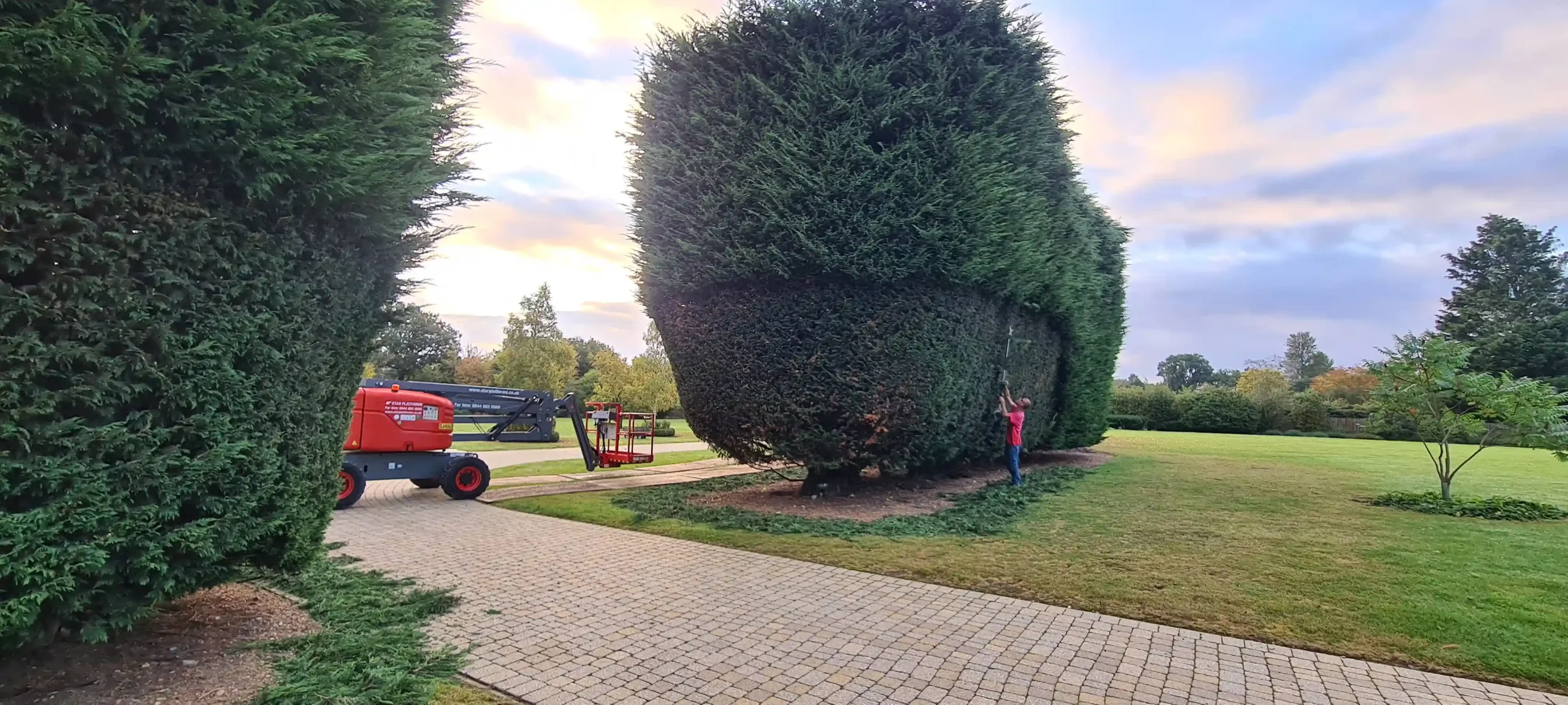 Garden Maintenance Project